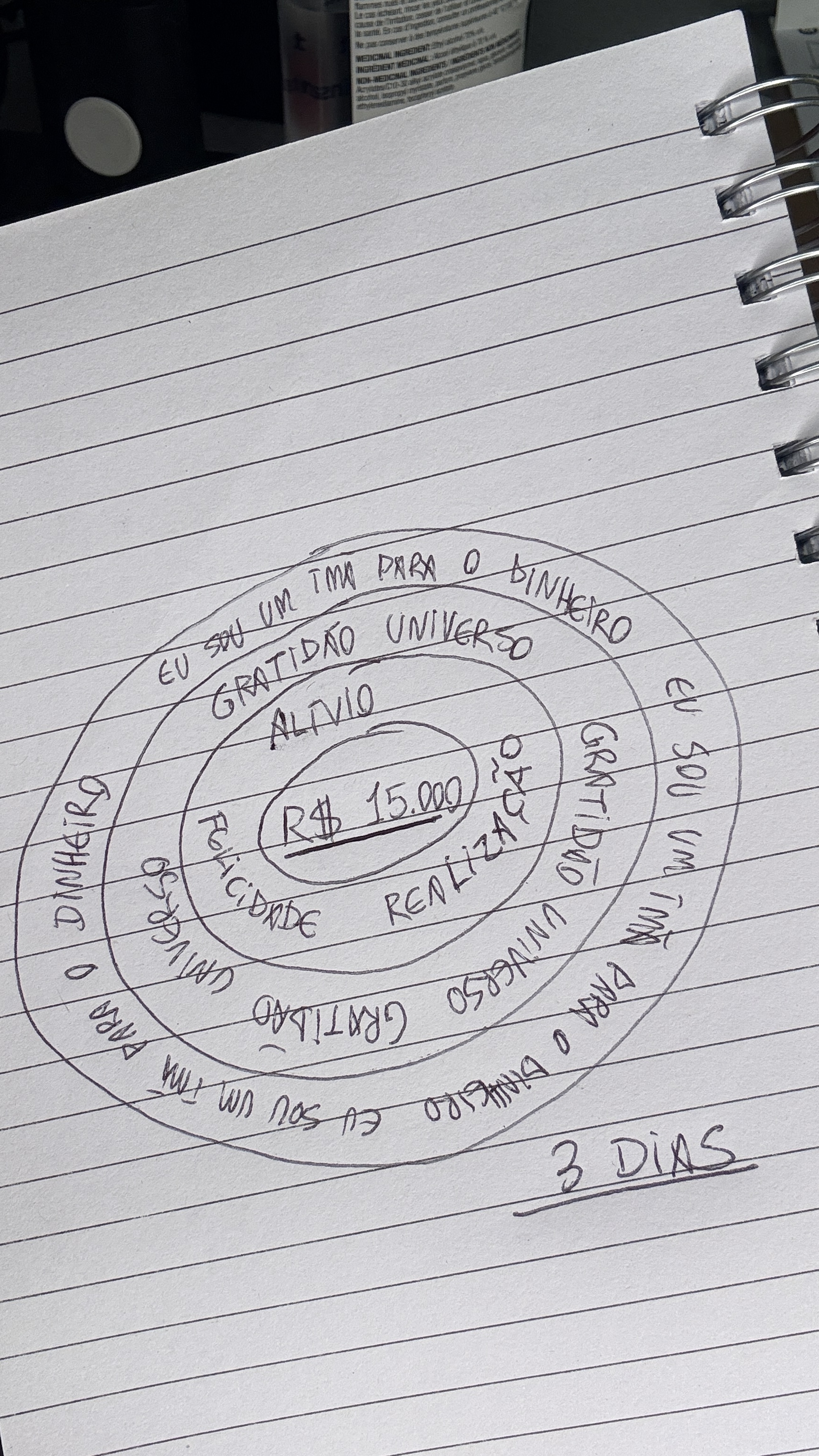 O CÍRCULO DA RIQUEZA: A TÉCNICA SIMPLES QUE ATIVA O FLUXO DO DINHEIRO NA SUA VIDA